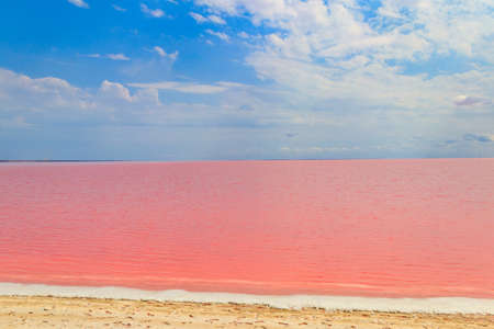 View of the pink salty Syvash lake in Kherson region, Ukraine