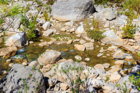 Scenic landscape with beautiful mountain brook. Idyllic scenery with clear water in small river. Fast water flow close-upの写真素材