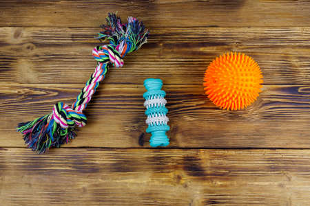 Dog's toys on a wooden background. Top viewの写真素材