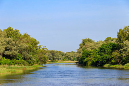 Spring landscape with beautiful river, green trees and blue sky