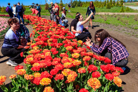 Kiev region, Ukraine - May 10, 2021: People taking photos, taking selfie and walking through flowerbeds with tulips in Dobropark park, Kiev region, Ukraineのeditorial素材