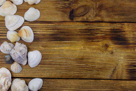 Sea shells on rustic wooden background. Top view, copy space