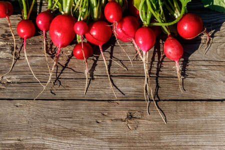 Fresh red radish with leaves on rustic wooden table. Top viewの写真素材