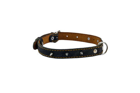Black leather spiked collar for dog isolated on white backgroundの写真素材
