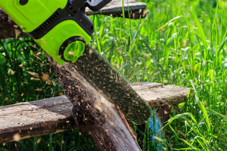 Cutting wood with electric chainsaw at backyardの写真素材
