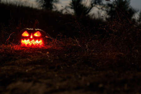 Spooky Halloween pumpkin jack-o-lantern with burning candles in scary forest at nightの写真素材