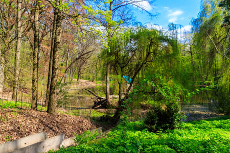 View of the Krasnokutsk park, Kharkiv region, Ukraine