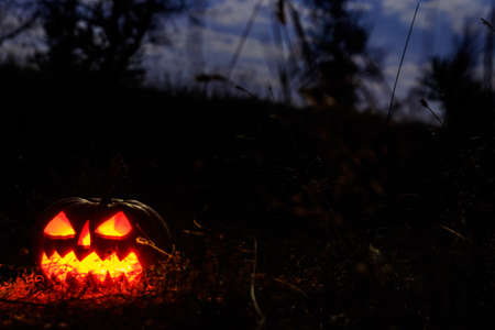 Spooky Halloween pumpkin jack-o-lantern with burning candles in scary forest at nightの写真素材