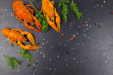 Red boiled crayfish with dill and spices on black slate background. Top viewの写真素材