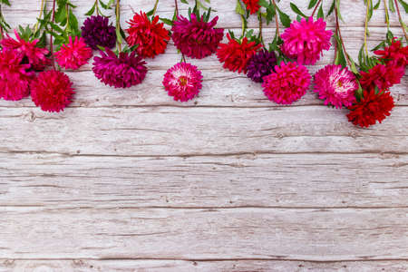 Aster flowers on wooden background. Top view, copy spaceの写真素材