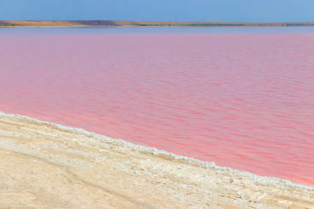 View of the pink salty Syvash lake in Kherson region, Ukraine