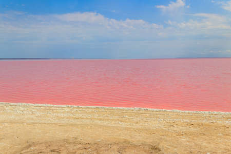 View of the pink salty Syvash lake in Kherson region, Ukraineの写真素材