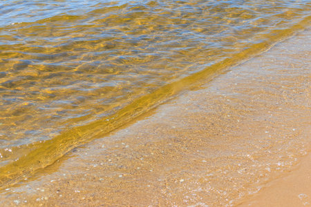 Soft wave of sea on sandy beachの写真素材