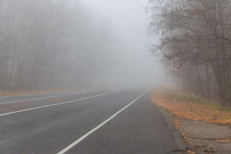 Foggy asphalt road through a forest at autumnの写真素材