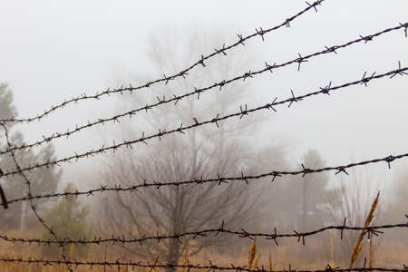 Close-up of the barbed wire fence in fogの写真素材