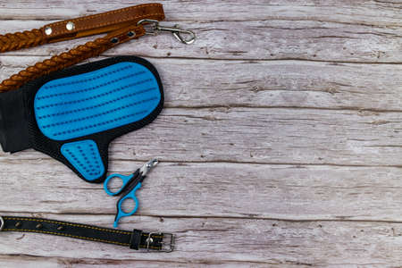 Dog accessories on wood background. Blue rubber grooming glove, claw clipper, brown leather leash and spiked collar for dog on wooden background. Top view, copy space. Pet care conceptの写真素材