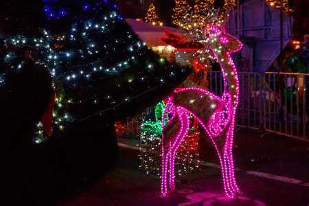 Illuminated Christmas deer at night. Decoration for Christmas and New Years holidays in a city parkの写真素材