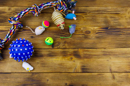 Set of toys for cats and dogs on wooden background. Top view, copy spaceの写真素材
