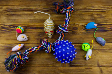 Set of toys for cats and dogs on wooden background. Top viewの写真素材