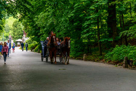 Uman, Ukraine - May 19, 2020: Tourists ride a horse-drawn carriage in Sofiyivka park in Uman, Ukraineのeditorial素材