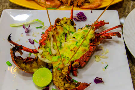 Delicious grilled lobster in a white plate in a restaurantの写真素材