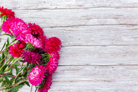 Aster flowers on wooden background. Top view, copy spaceの写真素材
