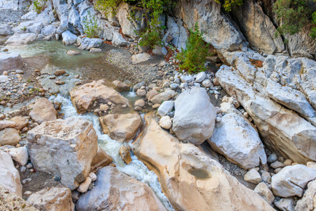 Scenic landscape with beautiful mountain brook. Idyllic scenery with clear water in small river....