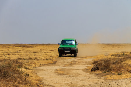 Off road car driving in Serengeti national park in Tanzania. Safari in Africa