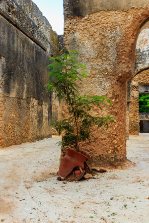 Ruins of Mtoni palace in Zanzibar, Tanzaniaのeditorial素材