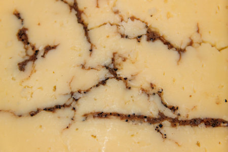Texture of the delicious truffle cheeseの写真素材