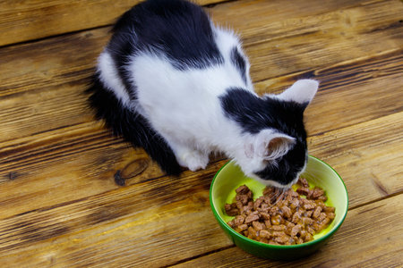 Kitten eating his food from ceramic bowl on wooden floorの写真素材