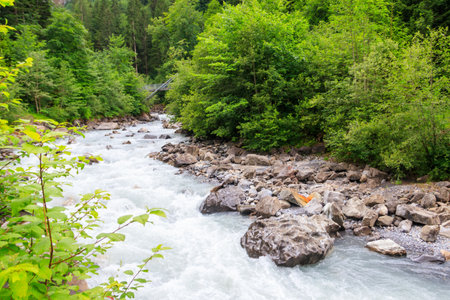 View of the Kander river in Switzerlandの写真素材