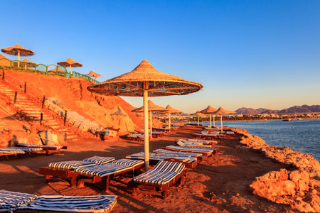 Sun umbrellas and chaise lounges on tropical beach. Concept of rest, relaxation, holidays, resort