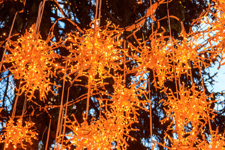 Lights on the Christmas tree at Bern Christmas Marketの写真素材