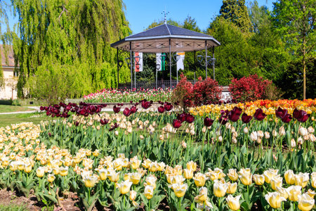 Gazebo and flower beds with beautiful tulips in the flower park in Morges, Switzerlandの写真素材