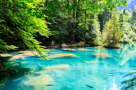 Blausee lake or Blue Lake in Bernese Oberland, Kandergrund, Switzerland
