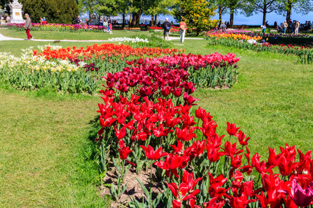 Morges, Switzerland - May 3, 2023: Locals and tourists enjoy the beauty of tulips during Tulip festival in Morges, Switzerlandのeditorial素材