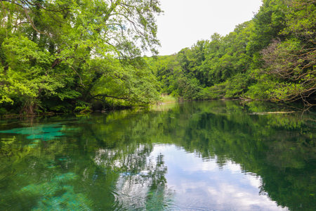 Crystal clear, green aquatic-plants full, waters of Sveti Naum (Saint Naum) springs on the Black Drim river near Ohrid lake, North Macedoniaの写真素材