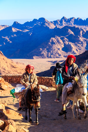 South Sinai, Egypt - January 29, 2022: Bedouin boys riding the donkeys in desert. Sinai Peninsula, Egyptのeditorial素材