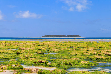 View of the Indian ocean at low tide, Zanzibar, Tanzaniaの写真素材
