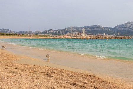Scenic view of Prado beach in Marseille, Franceの写真素材
