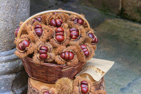 Chestnuts in wicker basket at farmer marketの写真素材