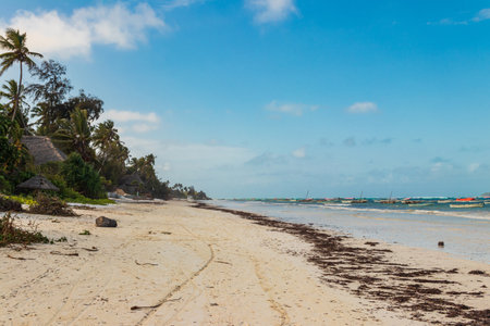 View of tropical sandy Matemwe beach on Zanzibar, Tanzaniaの写真素材