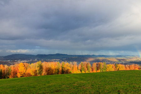 Autumn view of Bern suburbs and yellow deciduous forest from Gurten mountain in Switzerlandの写真素材