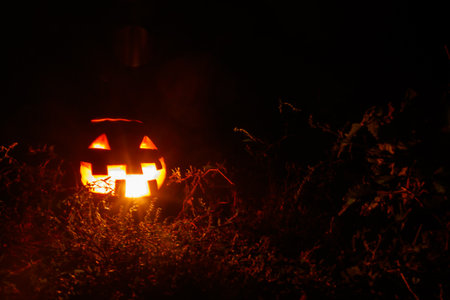 Spooky Halloween pumpkin jack-o-lantern with burning candles in scary forest at nightの写真素材