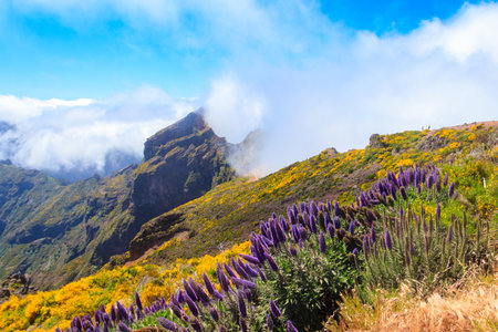 Beautiful view from Pico do Arieiro on Madeira island, Portugalの写真素材