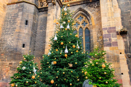 Decorated Christmas trees in old town of Colmar, Alsace, Franceの写真素材