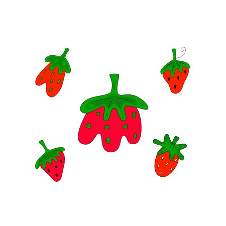 Set of STRAWBERRY. Hand drawn bright color vector illustration on white background. Flat cartoon style.  Organic healthy fruit. Perfect for magazine, book, poster, card, web pagesのイラスト素材