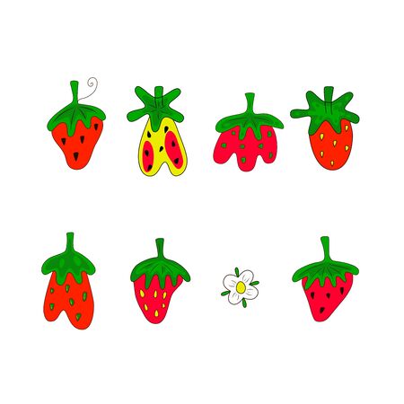 Set of STRAWBERRY with flowers. Hand drawn bright color vector illustration on white background. Flat cartoon style.  Organic healthy fruit. Perfect for magazine, book, poster, card, web pagesのイラスト素材