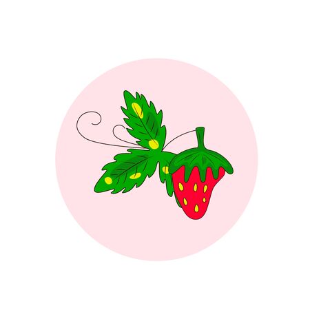 STRAWBERRY plant with leaves, flowers. Hand drawn bright color vector illustration on white background. Flat cartoon style.  Organic healthy fruit. Perfect for magazine, book, poster, card, web pagesのイラスト素材